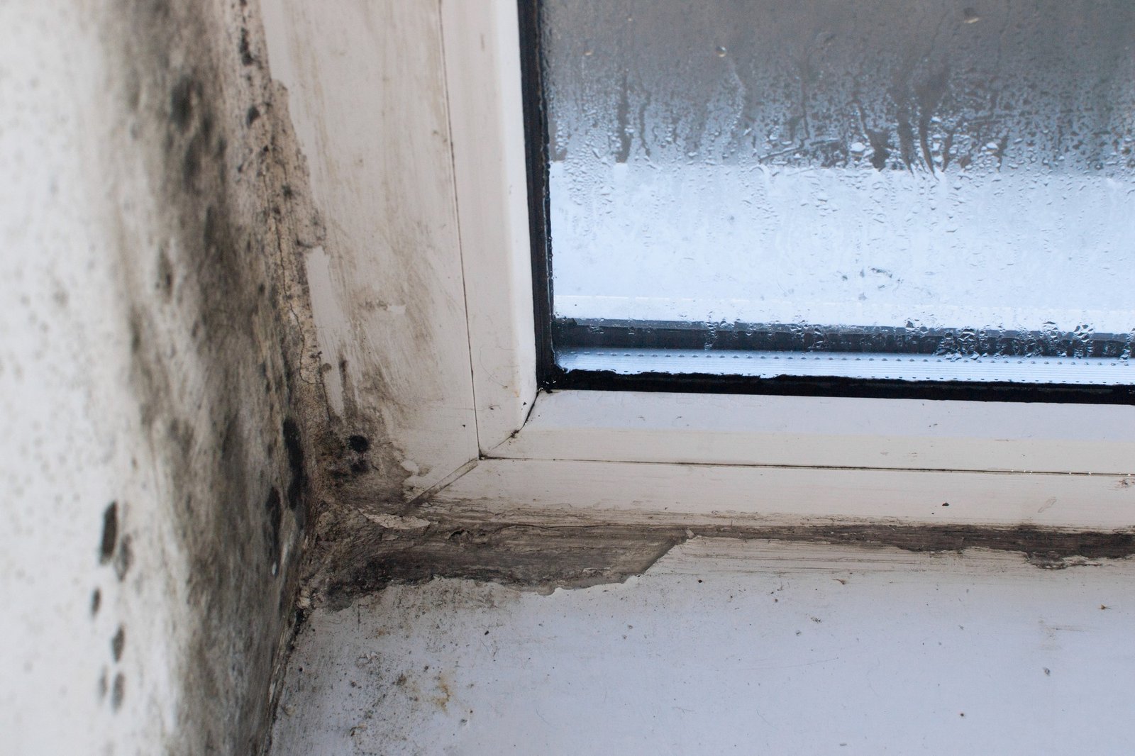 Kondenswasser und Schimmel an einer Fensterlaibung