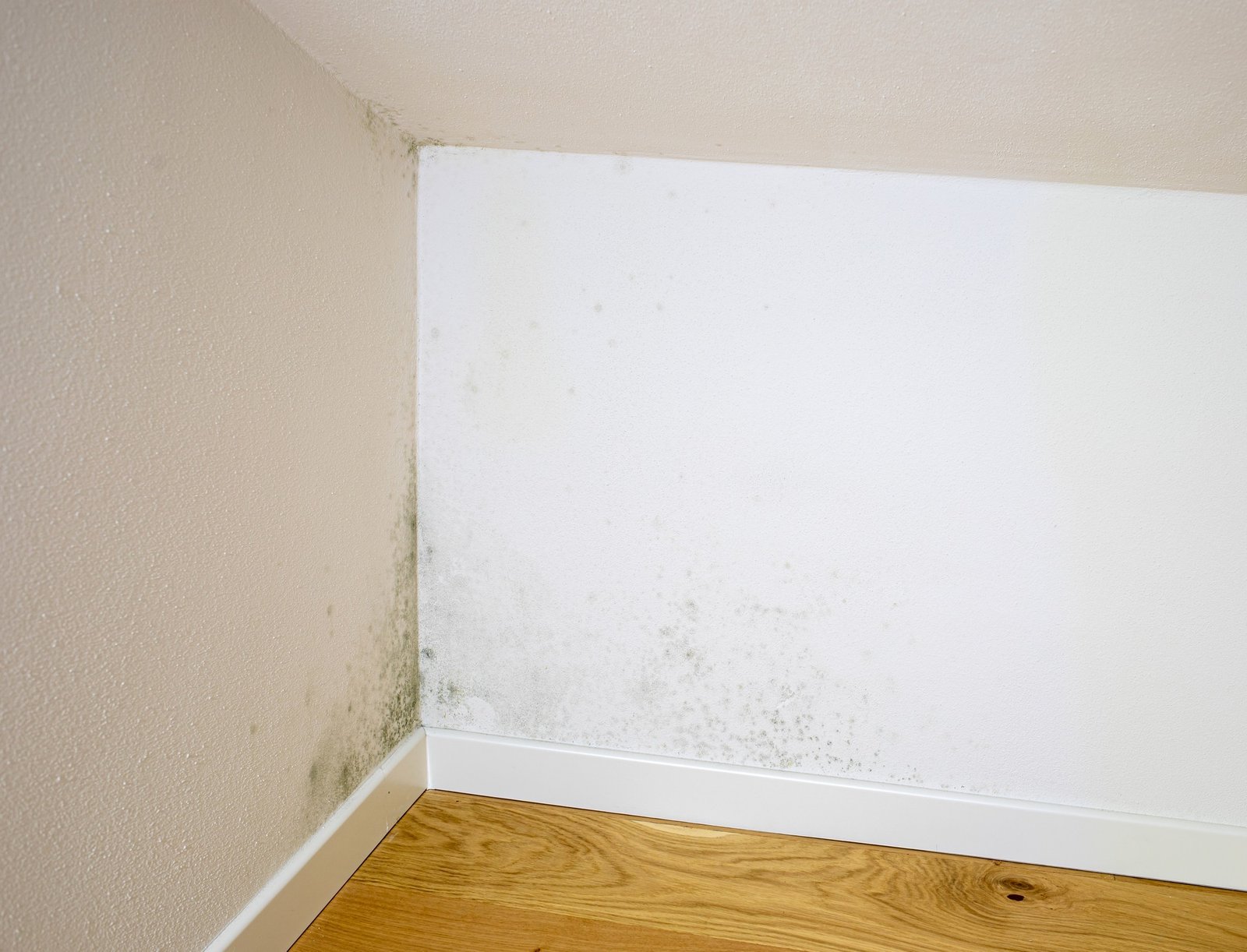 Wohnraum ohne sichtbaren Schimmel mit beengtem Raumgefühl