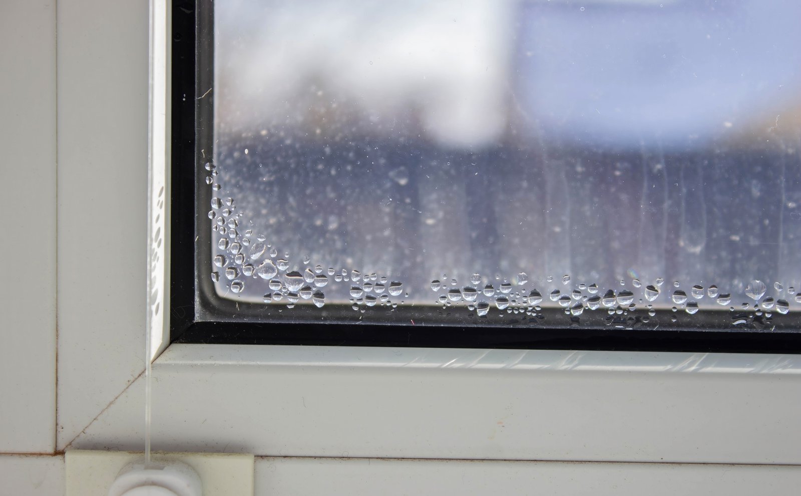 Kondenswasser an einer Fensterscheibe neben einer Tapete
